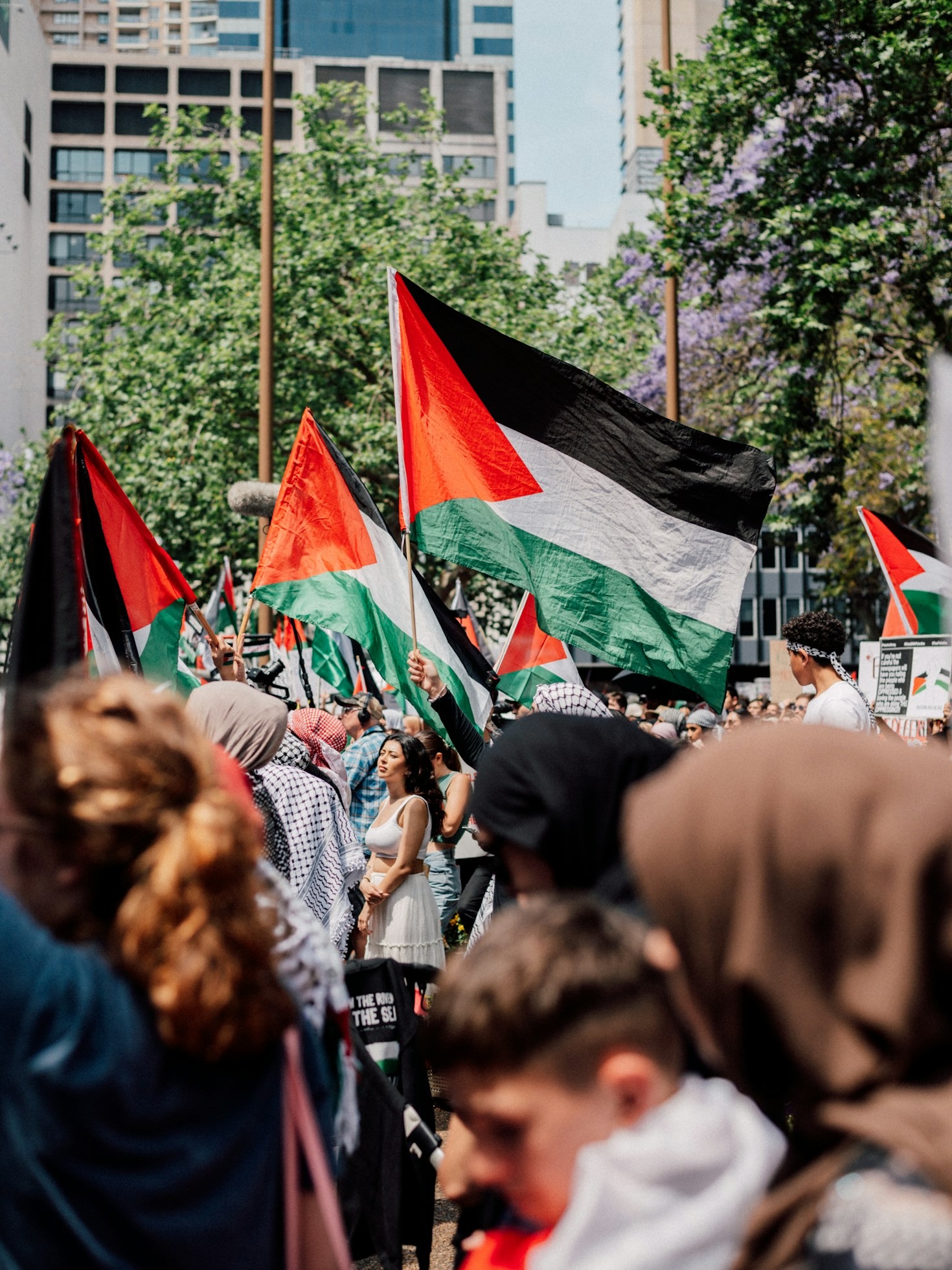 Historia del pueblo palestino: resiliencia y esperanza